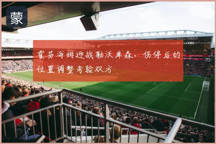 霍芬海姆迎战勒沃库森,伤停后的位置调整考验双方
